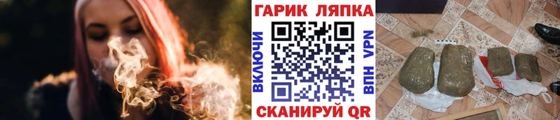 блэк спрут   где продают   Елизаветинская  ГАШИШ индика сатива 