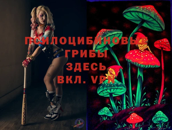 мет Абаза